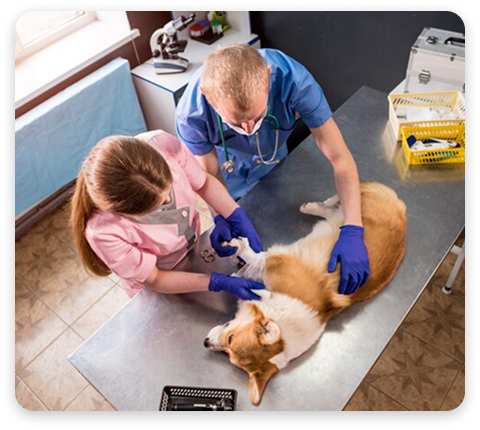 Test - Beneficio free codigo