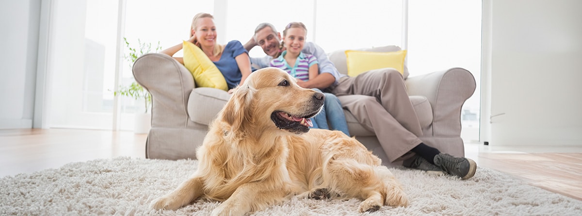 Beneficio bloqueado por tiempo