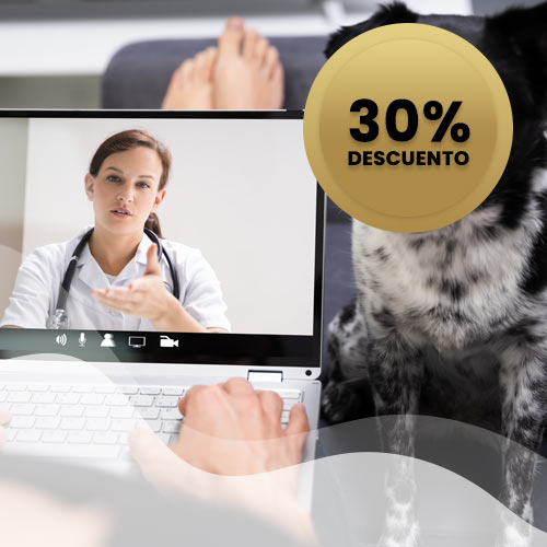 30% de descuento en consulta presencial con TopVets